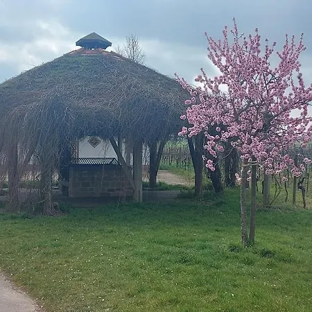 Apartment Zum Weinberg Grosskarlbach