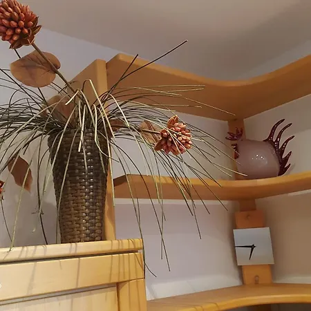 Apartamento Zum Weinberg Bis 4 Personen - Im Herzen Der Pfalz