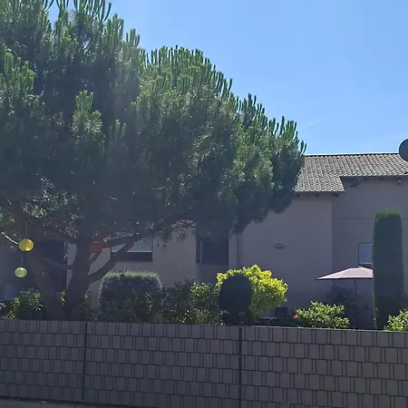 Zum Weinberg Bis 4 Personen - Im Herzen Der Pfalz Apartment *