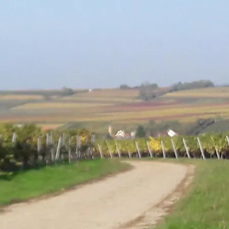 Zum Weinberg Bis 4 Personen - Im Herzen Der Pfalz Apartamento *