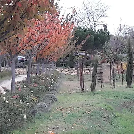 Zum Weinberg Bis 4 Personen - Im Herzen Der Pfalz *