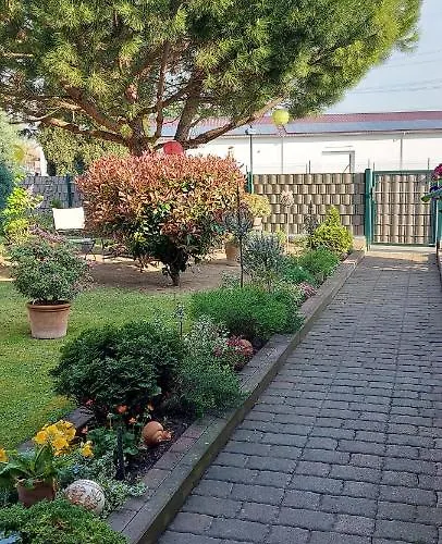 Lägenhet Zum Weinberg Bis 4 Personen - Im Herzen Der Pfalz *