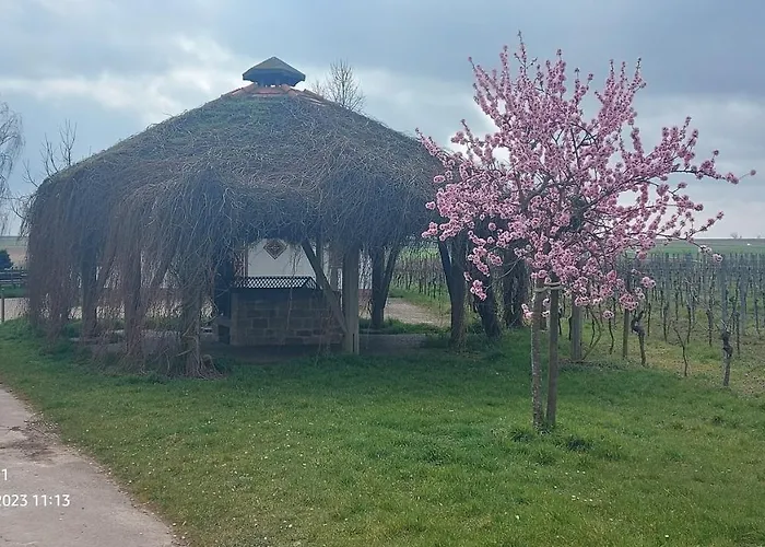 Lägenhet Zum Weinberg Bis 4 Personen - Im Herzen Der Pfalz Grosskarlbach