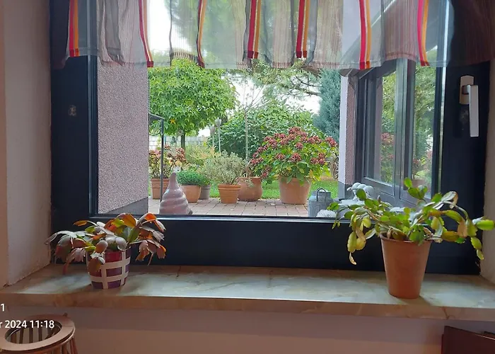 Zum Weinberg Bis 4 Personen - Im Herzen Der Pfalz