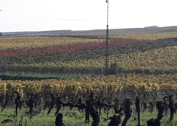 Zum Weinberg Bis 4 Personen - Im Herzen Der Pfalz Lägenhet Grosskarlbach
