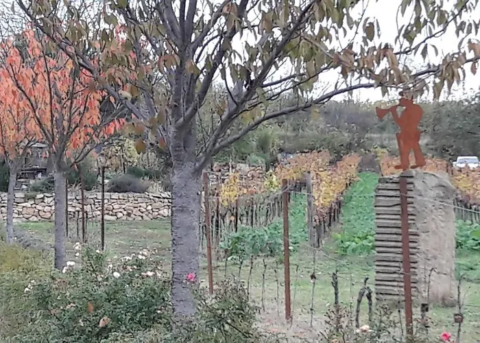 Lägenhet Zum Weinberg Bis 4 Personen - Im Herzen Der Pfalz