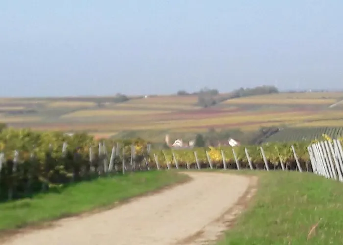 Zum Weinberg Bis 4 Personen - Im Herzen Der Pfalz Lägenhet *