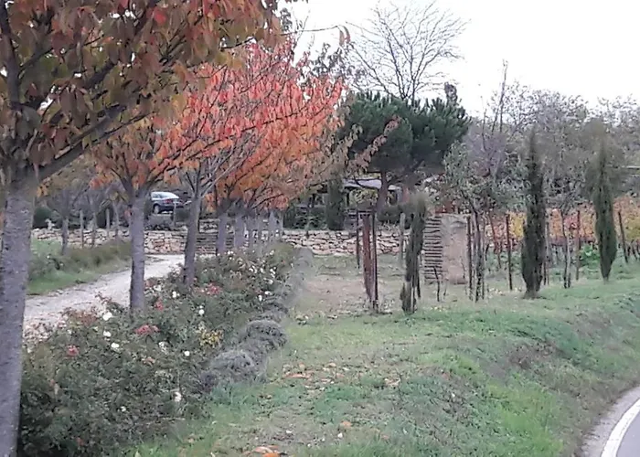 Zum Weinberg Bis 4 Personen - Im Herzen Der Pfalz *